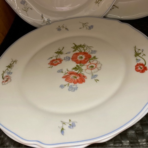 Arcopal Paradise glass dinner plate - Picture 8 of 8